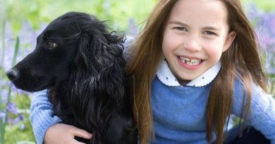 See Princess Charlotte’s Official 7th Birthday Portraits