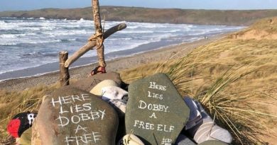 La tomba di Dobby di Harry Potter potrebbe essere rimossa: “Troppi calzini lasciati in spiaggia”