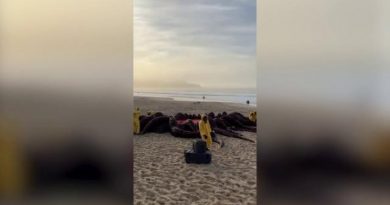 Una piovra gigante appare sulla Bondi Beach di Sydney