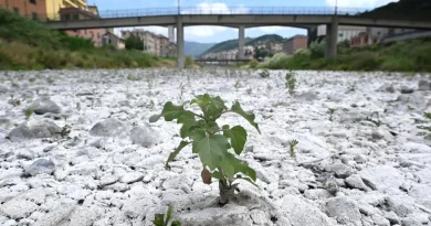 Siccità, Curcio (Protezione civile): non è escluso un razionamento diurno dell’acqua