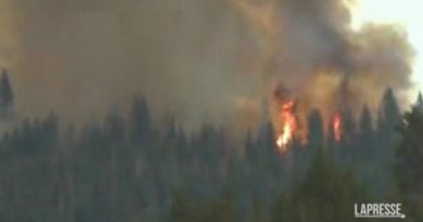 Si allarga l’incendio al parco di Yosemite: le fiamme minacciano gli alberi più grandi al mondo