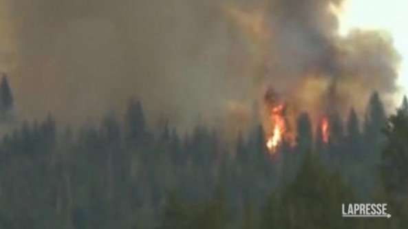 Si allarga l’incendio al parco di Yosemite: le fiamme minacciano gli alberi più grandi al mondo