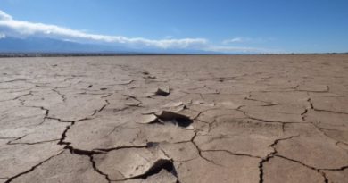 Crisi climatica, nei telegiornali italiani le notizie sul tema sono meno dell’1%. Laganà: “Grave errore editoriale”