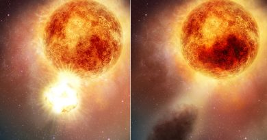 Trovata, forse, la causa del cambiamento di luminosità della stella Betelgeuse