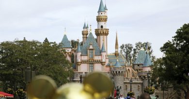 I visitatori di Disneyland a Shanghai sono bloccati al suo interno per un blocco improvviso