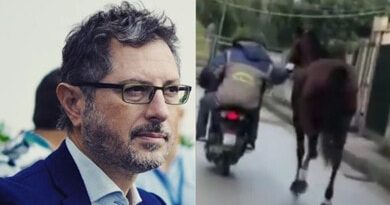 Cavallo trainato con lo scooter: l’indignazione di Borrelli sul web