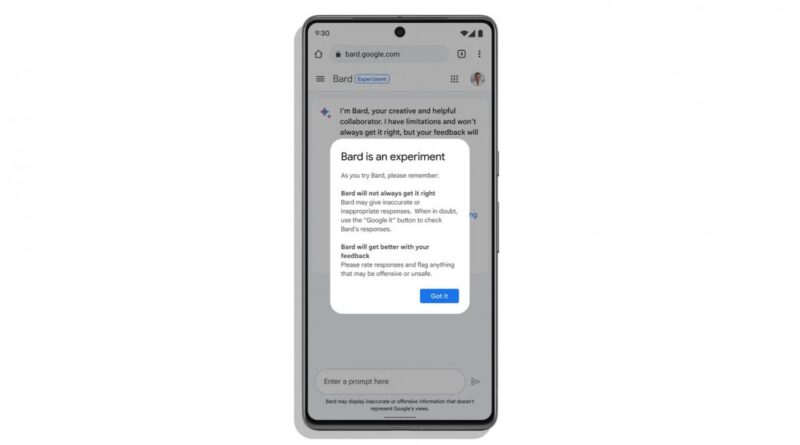 Google Bard, al debutto oggi, bacchetta i rivali: non sostituisce la ricerca e può essere fallace