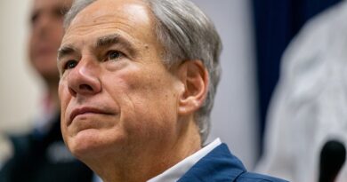 Greg Abbott dà la colpa della sparatoria nel centro commerciale del Texas alla “rabbia” e alla “salute mentale” È una distrazione