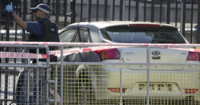 Il video dell’auto che è finita contro i cancelli di Downing Street, a Londra