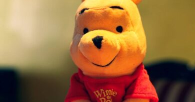 Winnie the Pooh per spiegare ai bambini come fuggire dalle sparatorie