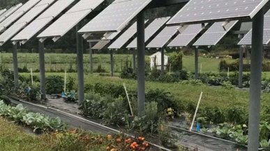 I nuovi contributi per impianti di rinnovabili in campagna