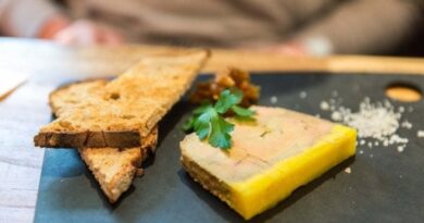 A New York la guerra del foie gras fa litigare sindaco e governatrice