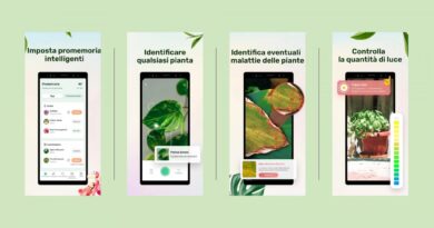 Plant Parent: l’app didattica per le piante di famiglia