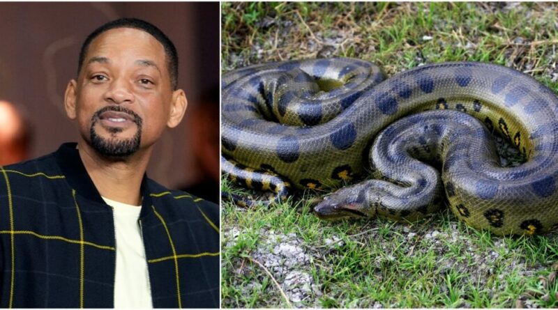 Will Smith scopre la “doppia” anaconda gigante: la clamorosa rivelazione mentre girava un documentario del National Geographic