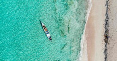 Turisti italiani bloccati sull’isola di Socotra in Yemen. Volo cancellato e viaggio sconsigliato per la guerra civile