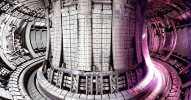 Nucleare: dal Divertor Tokamak Test ai piccoli reattori modulari, ecco i progetti su cui è impegnata la filiera italiana