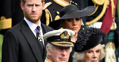 Royal Family, Harry a Londra ma il padre Carlo non lo incontrerà: “Troppi impegni”