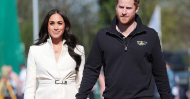 Il clamore per la fondazione Archewell di Meghan Markle e del principe Harry