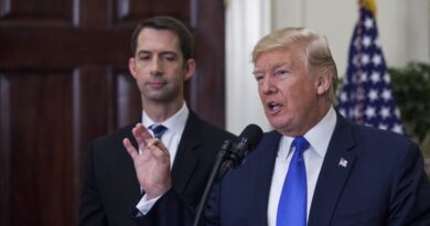 La lista dei potenziali vicepresidenti di Donald Trump ora include Tom Cotton, l’uomo che ha invocato una giustizia vigilante sui manifestanti e ha strappato la pelle alle persone: Rapporto