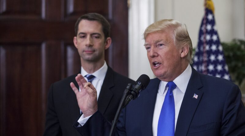 La lista dei potenziali vicepresidenti di Donald Trump ora include Tom Cotton, l’uomo che ha invocato una giustizia vigilante sui manifestanti e ha strappato la pelle alle persone: Rapporto