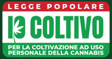 Cannabis, consegnate 55mila firme in Senato per la legge di iniziativa popolare sulla legalizzazione della coltivazione domestica