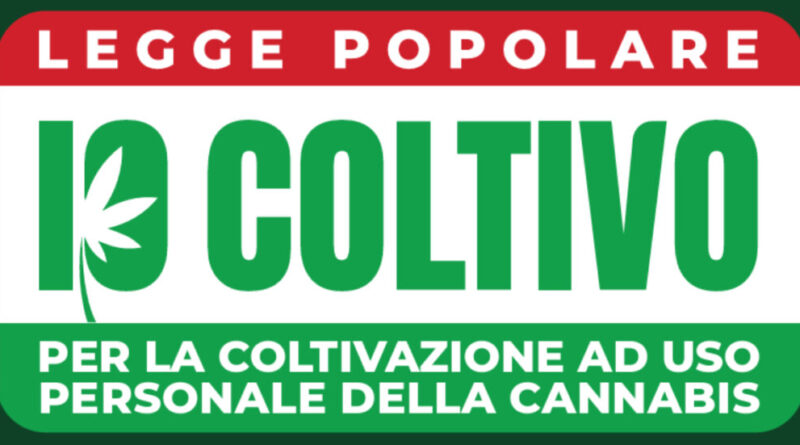 Cannabis, consegnate 55mila firme in Senato per la legge di iniziativa popolare sulla legalizzazione della coltivazione domestica