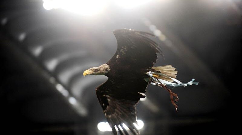 Lazio, al lavoro anche per il futuro: ecco la decisione per il gioiellino della Primavera