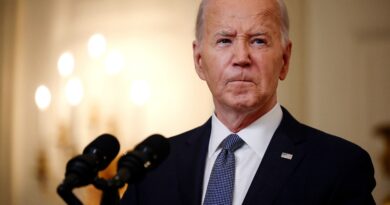 Joe Biden, gli alleati sono furiosi per i democratici che cercano di cacciarlo: “Stanno facendo il Giulio Cesare a quest’uomo”