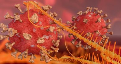 Coronavirus, casi in crescita del 62,5% nell’ultima settimana