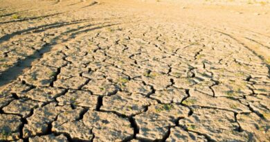 Siccità: ecco la mappa delle aree del Centro e del Sud che rischiano il razionamento dell’acqua