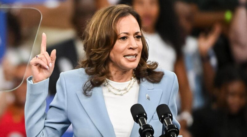 Kamala Harris rock ad Atlanta: “È una lotta tra due visioni dell’America, Trump è il passato e noi siamo il futuro”