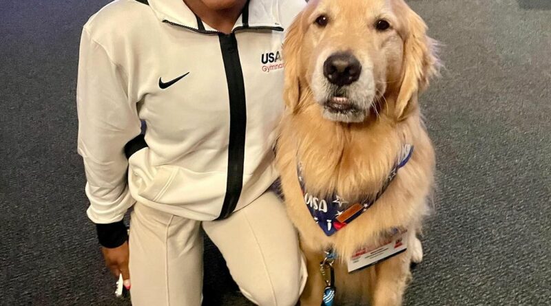 Ecco Beacon, il cane da terapia del Team USA