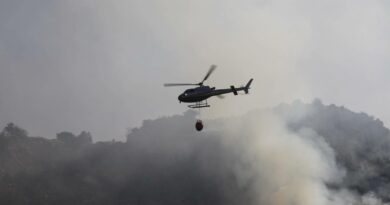 “Potenziare la flotta aerea antincendio dell’UE”. Interrogazione urgente al Parlamento Europeo