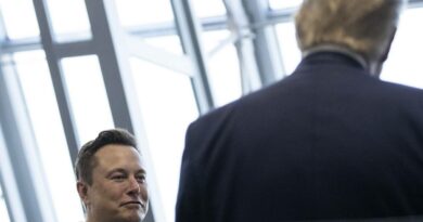 Musk e Trump, la strana coppia (di convenienza)