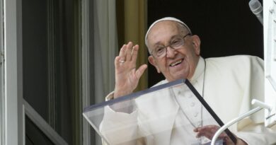 Il Papa annulla le udienze: “lieve stato influenzale”