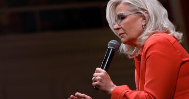 L’ex rappresentante Liz Cheney raddoppia con forza il suo appoggio a Kamala Harris in Wisconsin