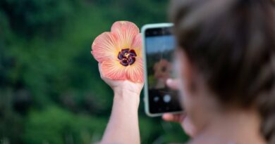 Un altro mattoncino per Google Lens: arriva la ricerca con i video