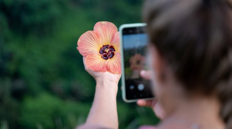 Un altro mattoncino per Google Lens: arriva la ricerca con i video