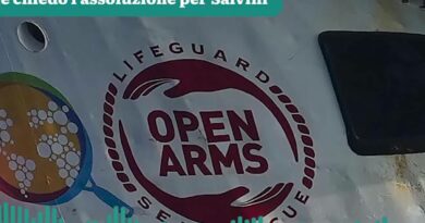 “Ecco perché il fatto non sussiste”: l’arringa di Bongiorno sul caso Open Arms