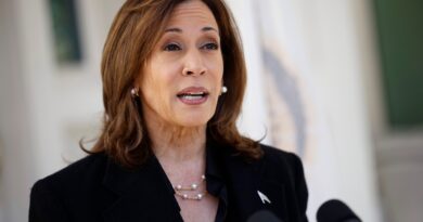 Kamala Harris chiede agli americani: Avete davvero intenzione di eleggere un uomo che ha buone cose da dire su Hitler?