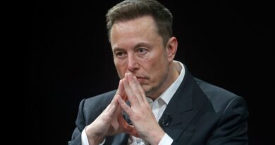 Elon Musk ha costruito un complesso per i suoi 11 figli e le loro mamme e continua a offrire ad “amici e conoscenti” il suo sperma: Rapporto