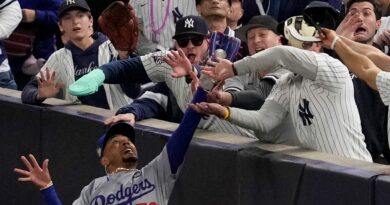 I tifosi dei New York Yankees che hanno interferito con la presa e hanno afferrato un giocatore sono stati banditi dalla partita delle World Series