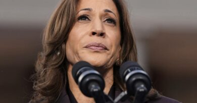 “Kamala Harris ci riproverà”: quale futuro per la vice di Biden?