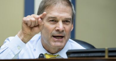 Jim Jordan insiste sul fatto che Trump non ha in programma di perseguire i nemici politici