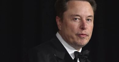 Migranti in Albania, Elon Musk contro i giudici: “Se ne devono andare”