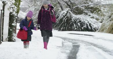 Il Regno Unito deve aspettarsi una “neve dirompente”: l’allerta riguarda gran parte del paese