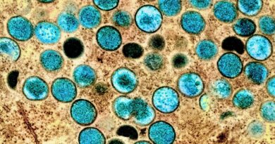 Individuato nel Regno Unito il quinto caso di ceppo di mpox