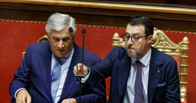 La Lega rilancia sui tetti pubblicitari per eliminare il canone Rai. E aumenta la tensione nella maggioranza