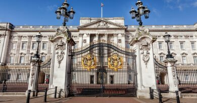 Donna arrestata dopo la festa di Natale del personale di Buckingham Palace