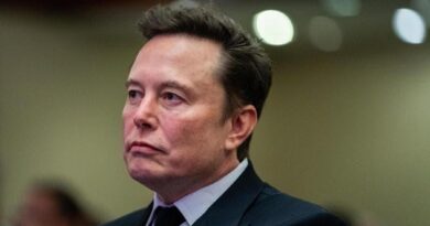 Il sostegno di Musk all’estrema destra tedesca: “Solo l’Afd può salvare la Germania”